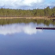 Avlångensjöarna och Tordyveln